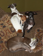 The girls