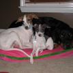 Simone playing mom