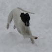 Paris enjoying the snow