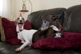 Remey & his brother
